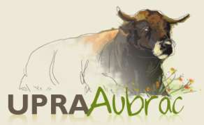 Race Aubrac