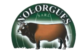 Nolorgues